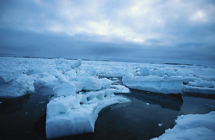 O continente mais frio do mundo guarda algumas curiosidades que são muitos legais! Fique de olho em 4 fatos que você não sabia sobre a Antártida.