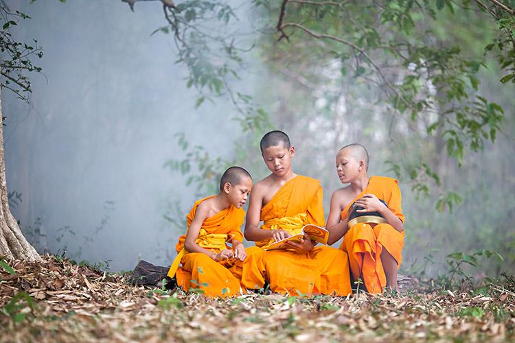 Budismo: filosofia de vida ou tradição religiosa? Entenda 