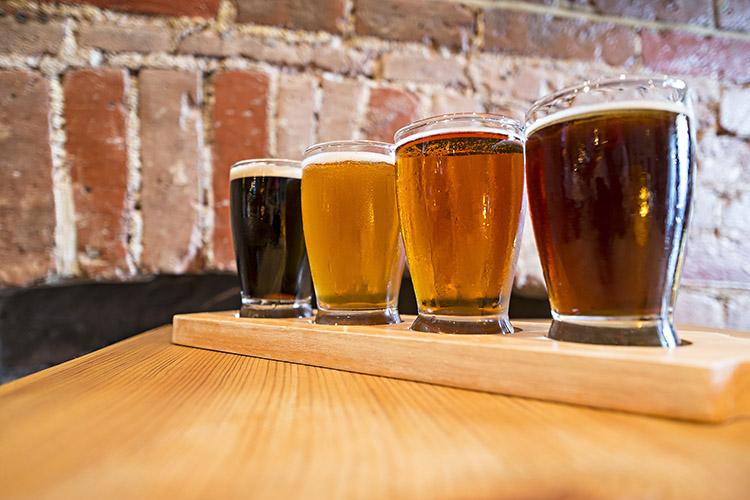 Cerveja: 5 coisas que você precisa saber sobre essa bebida! 