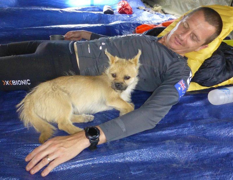 Maratonista escocês teve a companhia de uma cachorra vira-lata em uma prova de sete dias. No final, o animalzinho tinha corrido mais de 120km!