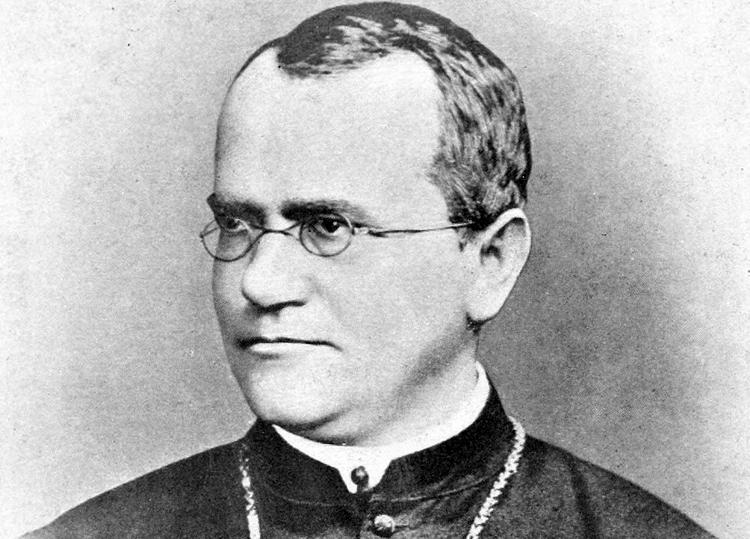 De origem austríaca, Gregor Mendel foi um botânico, meteorologista e monge agostiniano que ficou conhecido como o pai da genética.