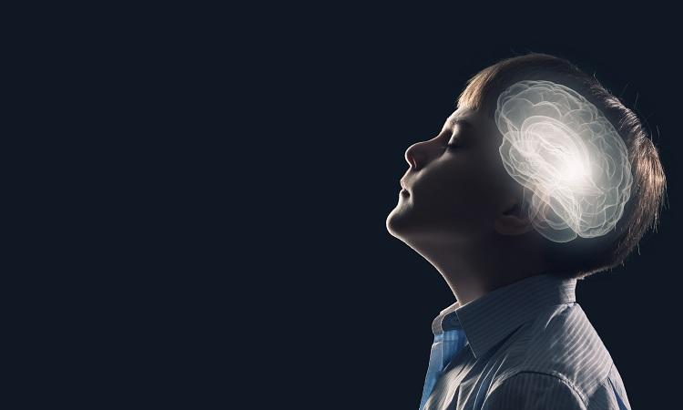 Cérebro: confira 5 mitos e verdades sobre o órgão 