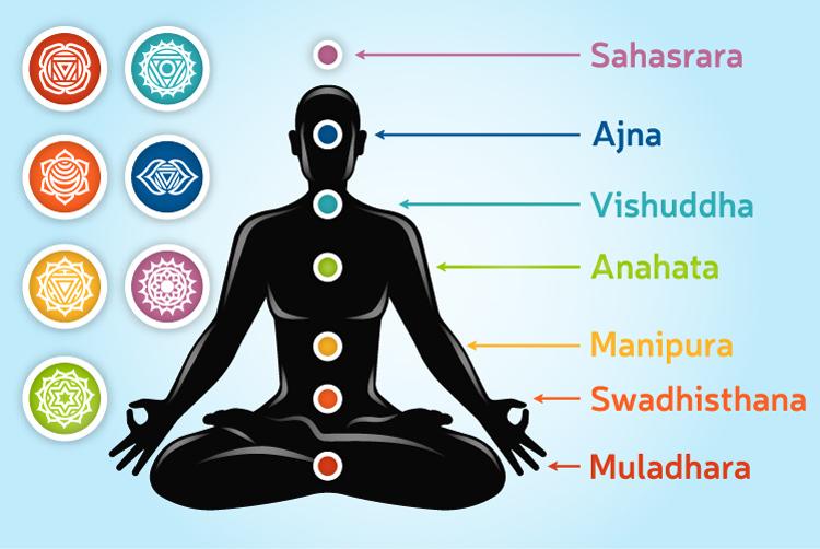 Quem já meditou provavelmente já ouviu falar em chakras. Mas você sabe a importância deles, principalmente, na hora da meditação? Confira!