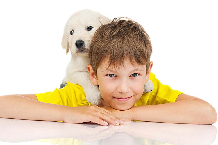 Cães e crianças: qual a melhor raça para cada fase do seu filho? 