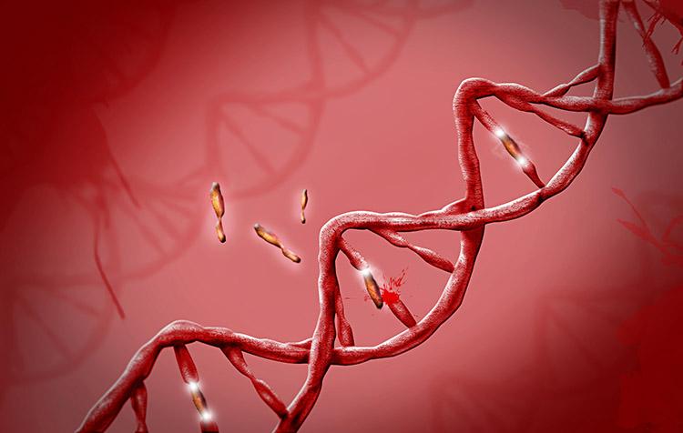 Genética: entenda o quanto ela influencia em nossa vida 
