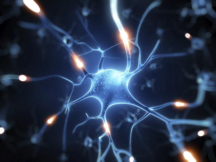 Neurônios: como eles influenciam o desenvolvimento da depressão? 