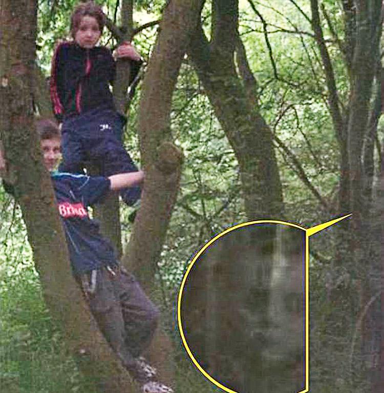 Michelle Mason e os filhos estavam na cidade britânica de Cannock Chase, e se espantaram ao capturar três crianças em uma foto