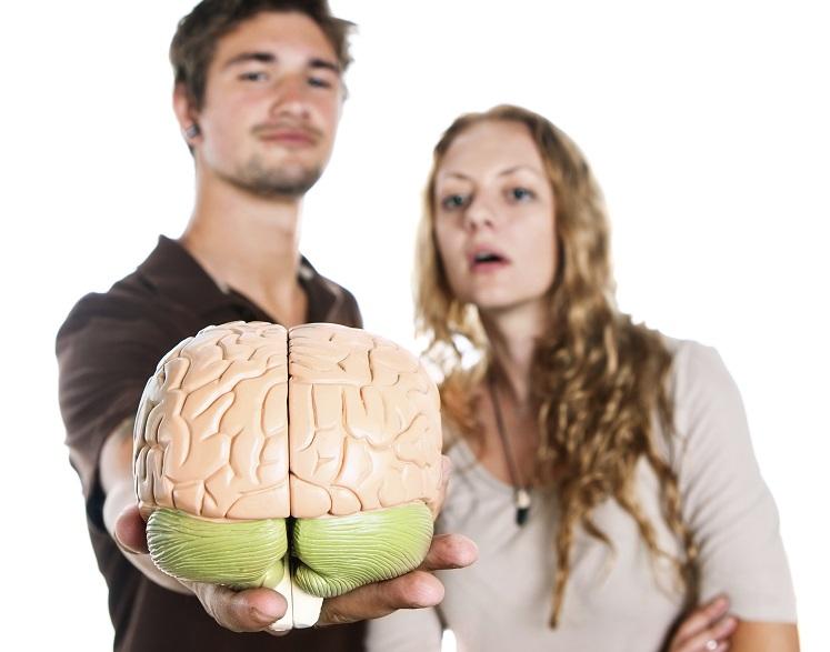 Algumas características do cérebro podem fazer com que ele seja masculino ou feminino