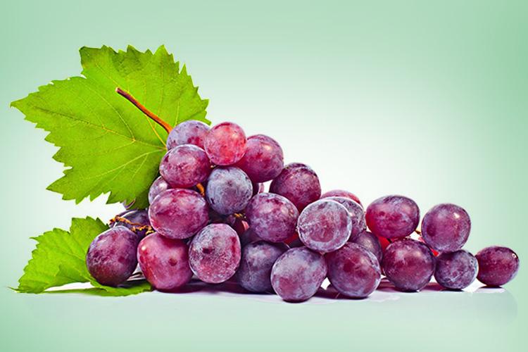 Aposte na farinha de uva para regular o intestino! 