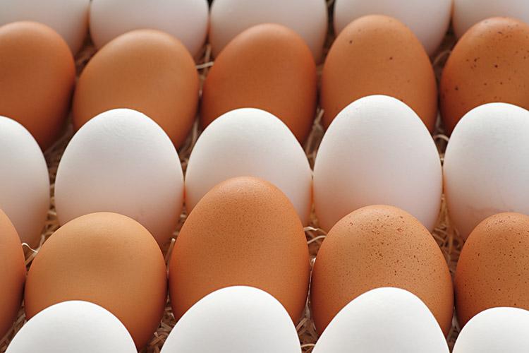 De vilão a herói: como inserir o ovo na sua alimentação 