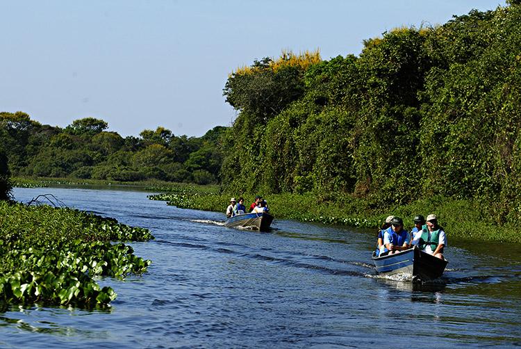 Vai viajar ao Mato Grosso do Sul e quer conhecer o Pantanal? Então não deixe de incluir a cidade de Miranda em seu roteiro! Descubra opções turísticas imperdíveis!
