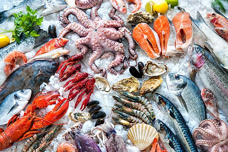 Os frutos do mar são bastante consumidos. Ricos em ômega-3, eles trazem inúmeros benefícios, porém também podem ter alguns malefícios