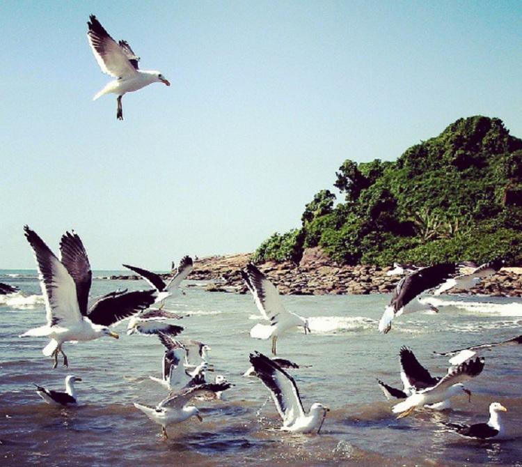 Itanhaém: descubra atrações dessa beleza do litoral sul paulista 