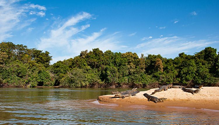 Corumbá: visite a capital do Pantanal nas próximas férias 
