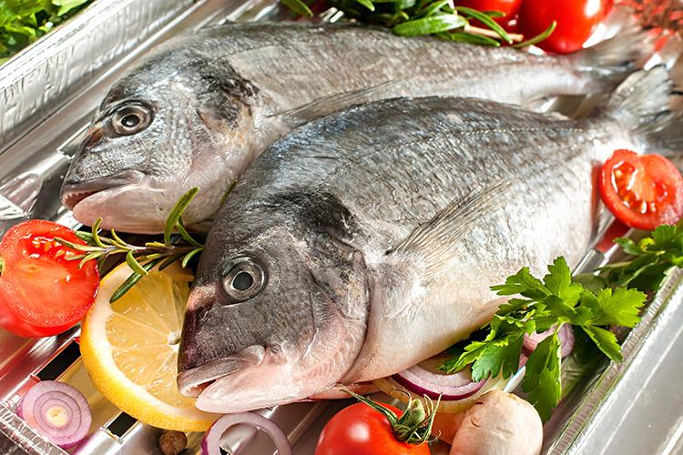 Consumo de peixes pode prevenir e amenizar os sintomas da depressão 