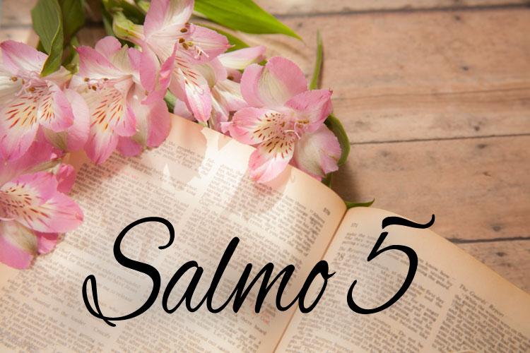 O salmo 5 é indicado para afastar todas as energias negativas de seu ambiente familiar e viver melhor e em harmonia. Saiba mais!