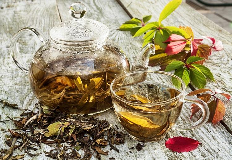 5 receitas de chás saborosos para afastar a ansiedade 