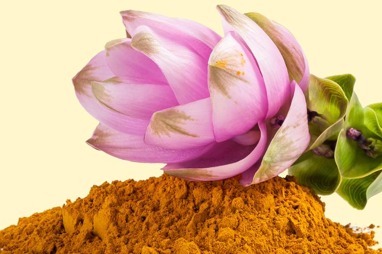 Extraído de um tipo de flor, o açafrão é uma iguaria picante que pode aliviar incômodos digestivos e cólicas menstruais! Saiba mais!