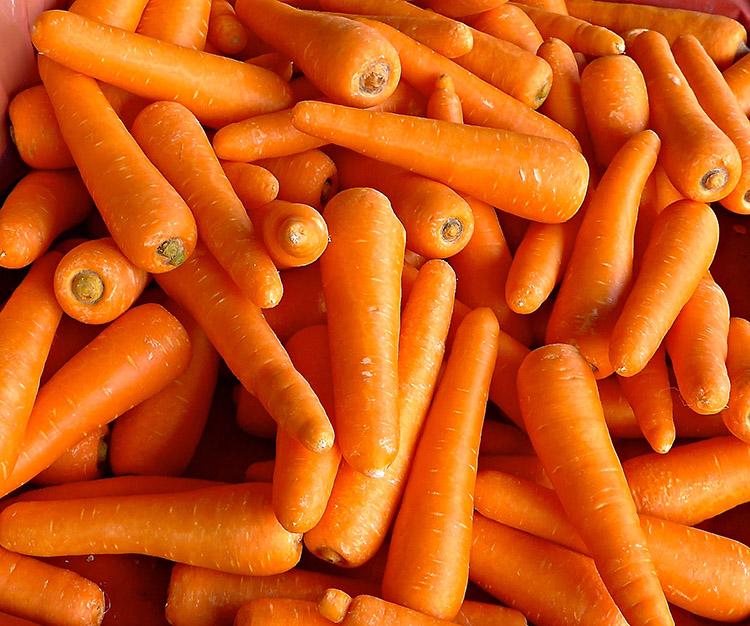 A vitamina A presente na cenoura traz muitos benefícios à saúde. Conheça! 