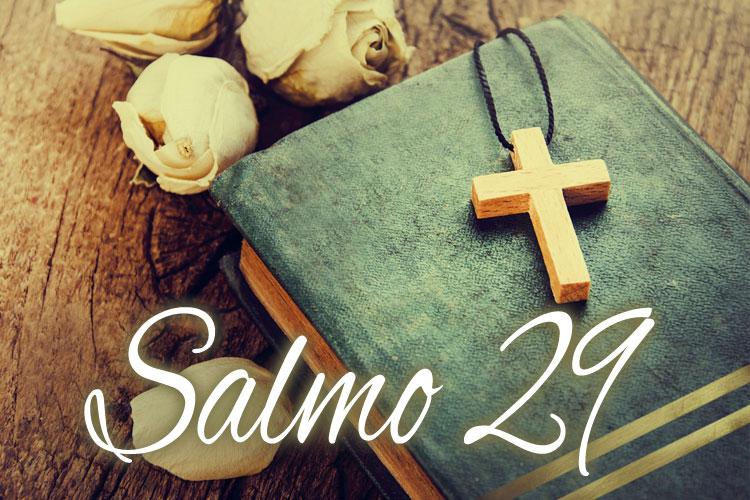 O salmo 29 é indicado para reconhecer o poder de Deus. Também serve para eliminar doenças, dúvidas e o medo de perseguição. Confira!