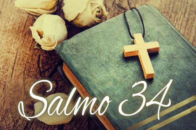 Tenha uma convivência mais harmônica com pessoas queridas e sinta a força do amor e da harmonia em sua vida rezando o salmo 34.