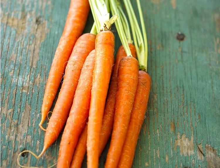 Saiba como escolher, higienizar e preparar a cenoura 
