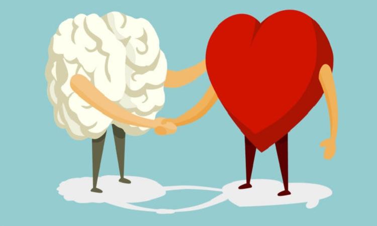 Descubra como o seu cérebro reage ao amor 