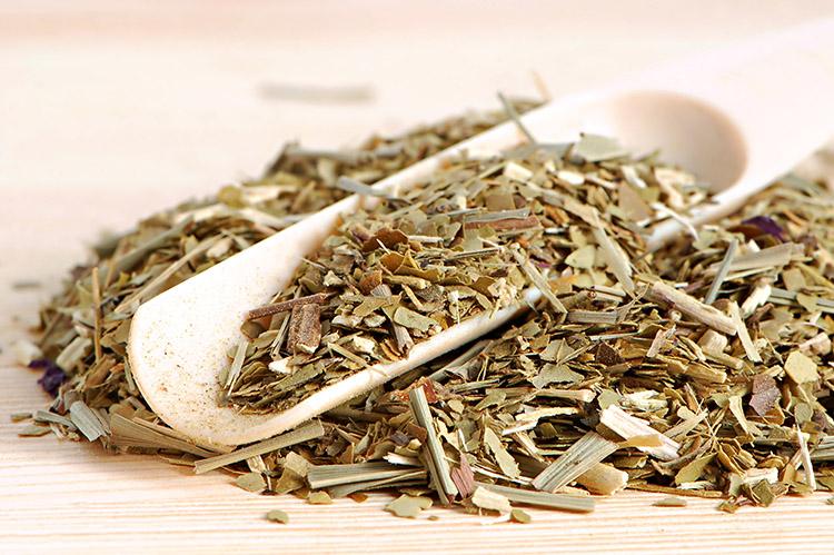 A erva-mate pode ser consumida na forma de chá, mas também como chimarrão, tereré e até mesmo capsulas, conheça todas as propriedades da planta!