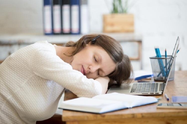Pesquisa indica que tirar soneca após aprendizagem ajuda a fixar informações 