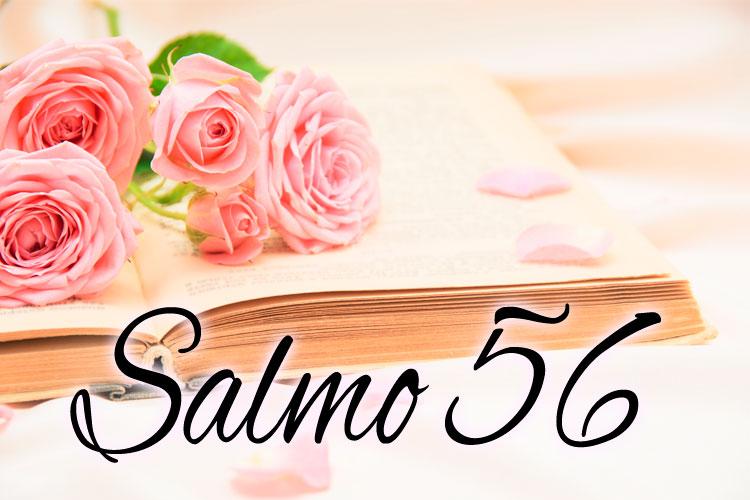 O salmo 56 é especial para estar mais ligado a Deus e ter proteção contra pessoas perigosas. Renove sua fé e recebas as graças do Nosso Senhor!