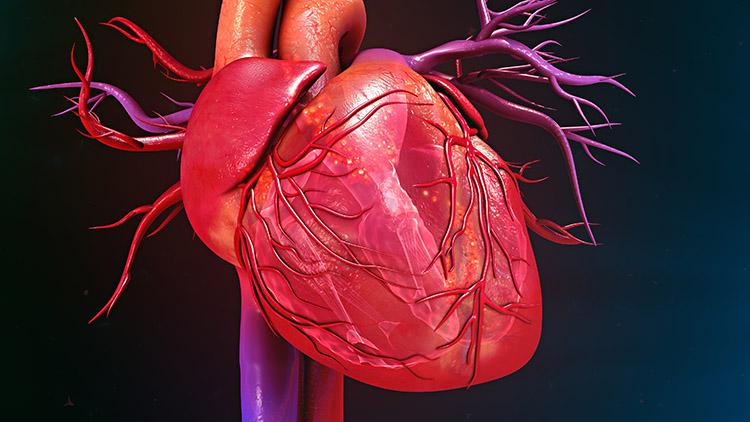 Sopro: saiba o que é e como tratar esse problema cardíaco 