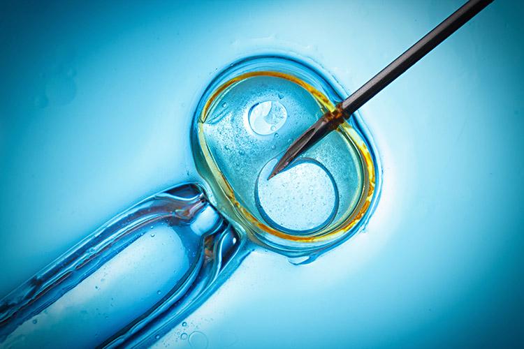 Fertilização in vitro: você sabe o que é ou como funciona? 