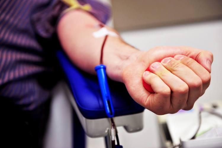 Febre amarela: Anvisa divulga novos critérios para doação de sangue 
