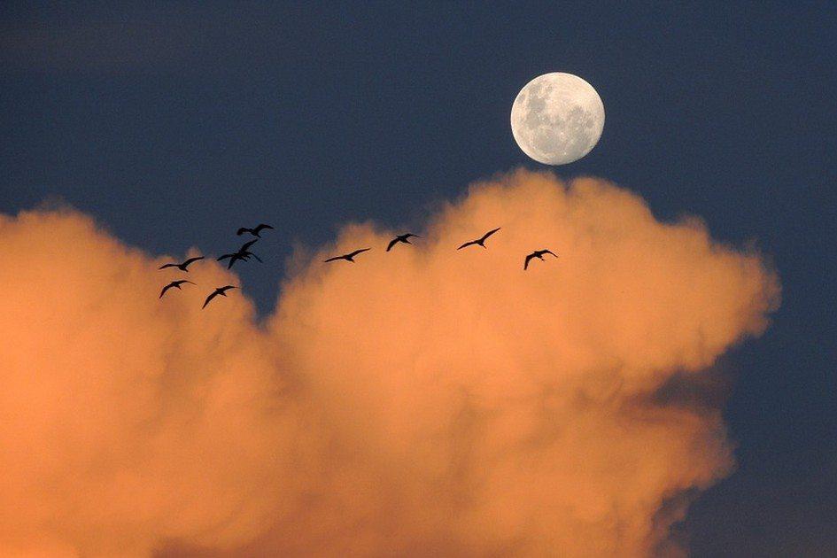 Simpatias das fases da Lua: tenha sucesso em vários setores de sua vida 
