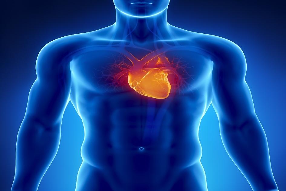 Silenciosa e fatal: saiba como prevenir a dilatação da aorta 