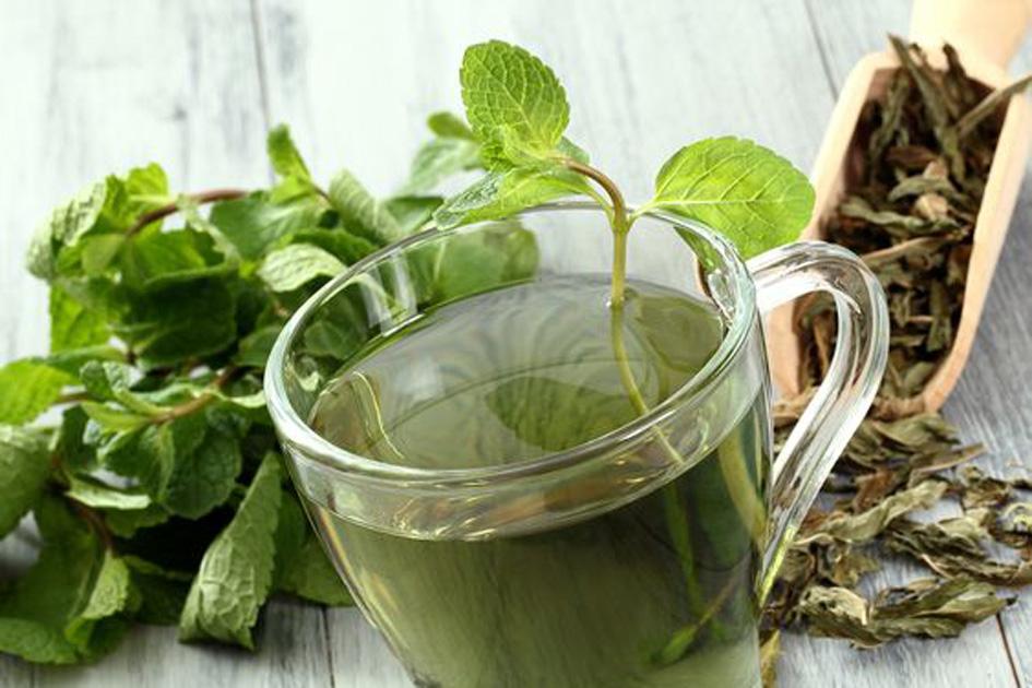O chá de tisana nada mais é do que a união entre a água fervente e as plantas medicinais, como é o caso do chá de boldo