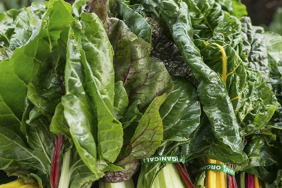 Benefícios detox da couve: aprenda como a verdura protege o organismo 