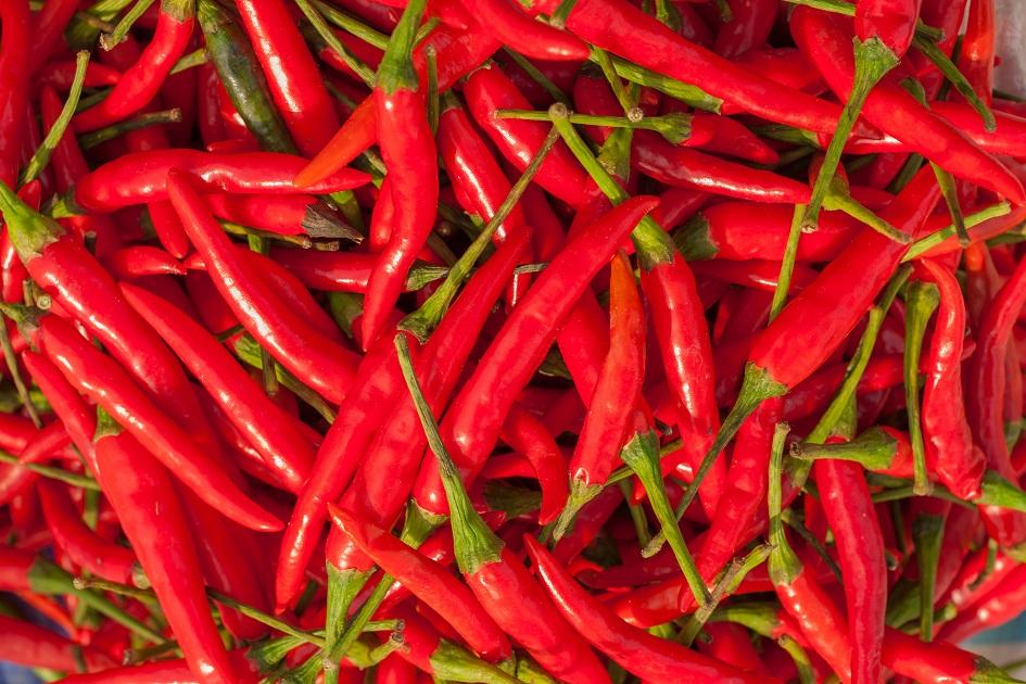 Escolha uma pimenta, adicione mais sabor ao prato e mais saúde ao organismo! 