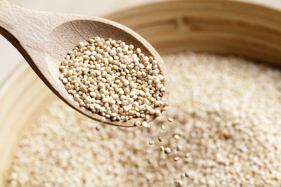 Confira os benefícios da quinoa: conhecida como o grão completo! 
