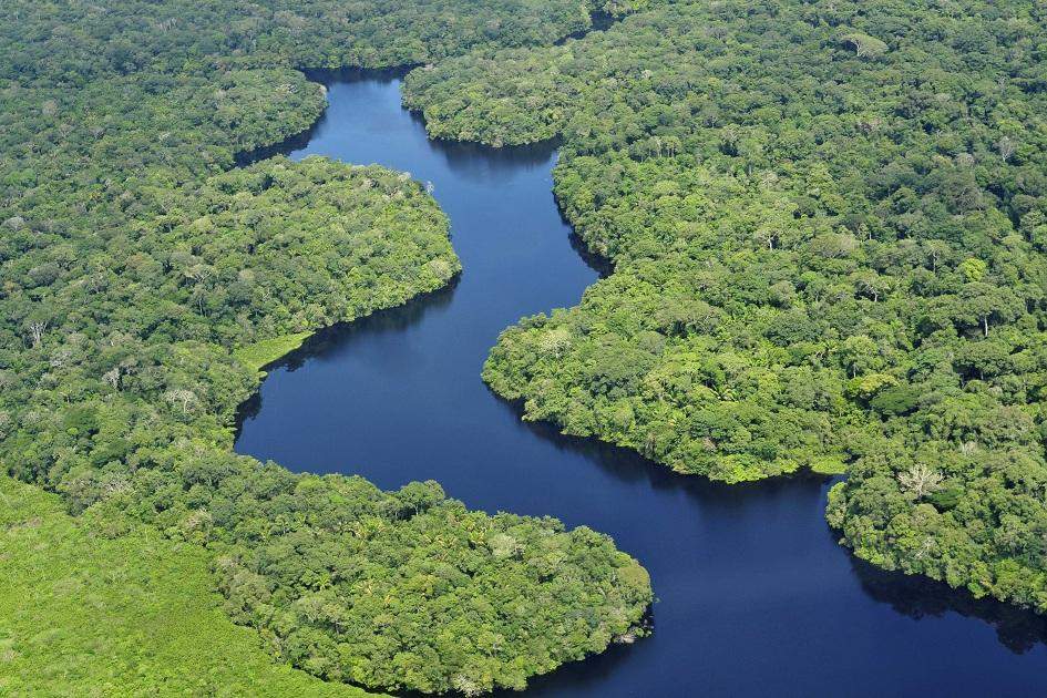 A Amazônia é um dos destinos brasileiros mais procurados por turistas, e a floresta oferece um espetáculo onde a natureza representa o papel principal.
