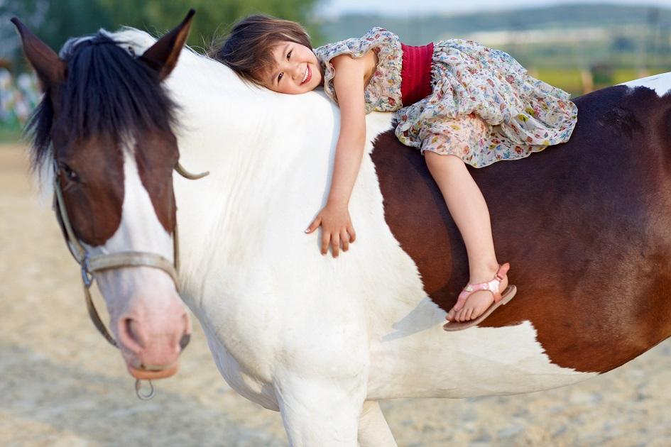 Terapia com cavalos devolve saúde e autoestima a pacientes com necessidades especiais 