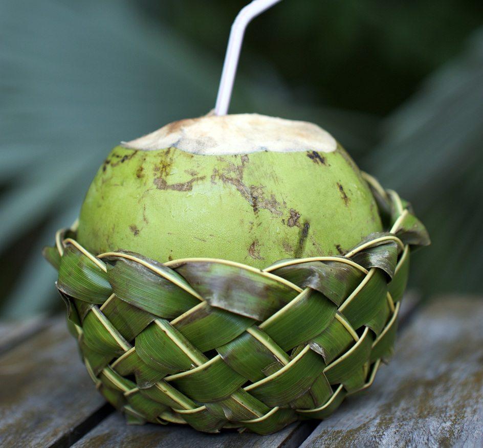 Benefícios da água de coco: aposte nessa bebida para ter mais saúde! 