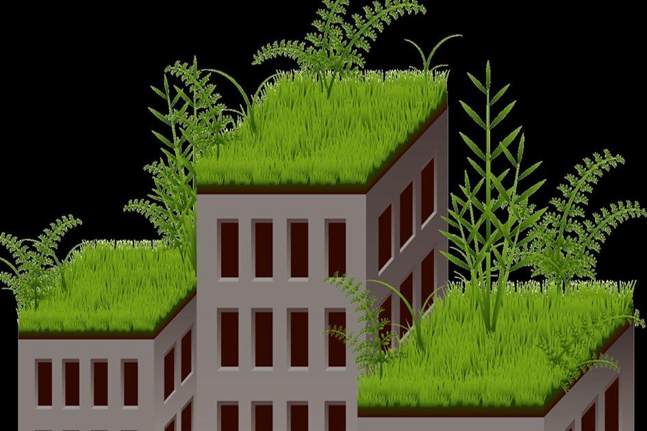 Telhado verde: conheça as vantagens dessa solução sustentável 