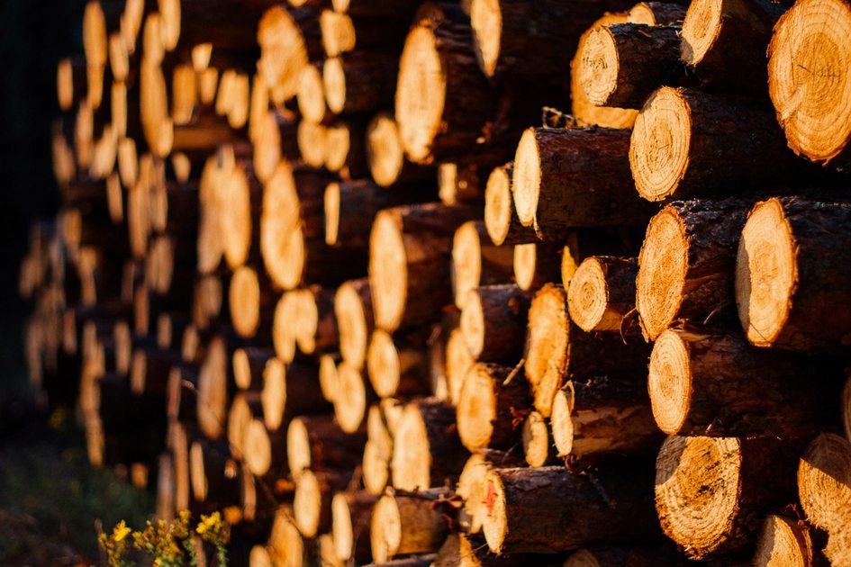 A madeira tem relação às energias astrais que lidam com a sua vida profissional e podem fortalecer sua carreira. Confira simpatias com esse material.
