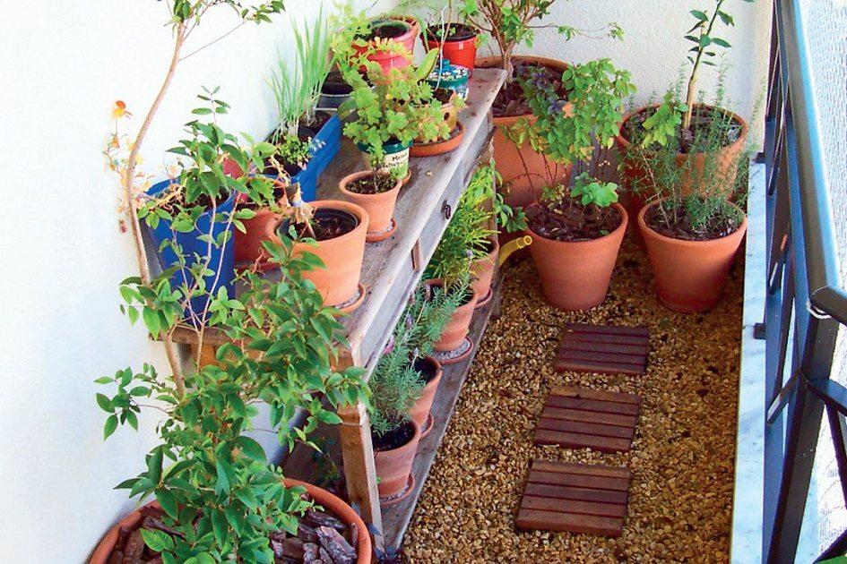 Solução prática para ter temperos fresquinhos em casa, sem ocupar muito espaço e com uma horta e prateleira supercharmosas!