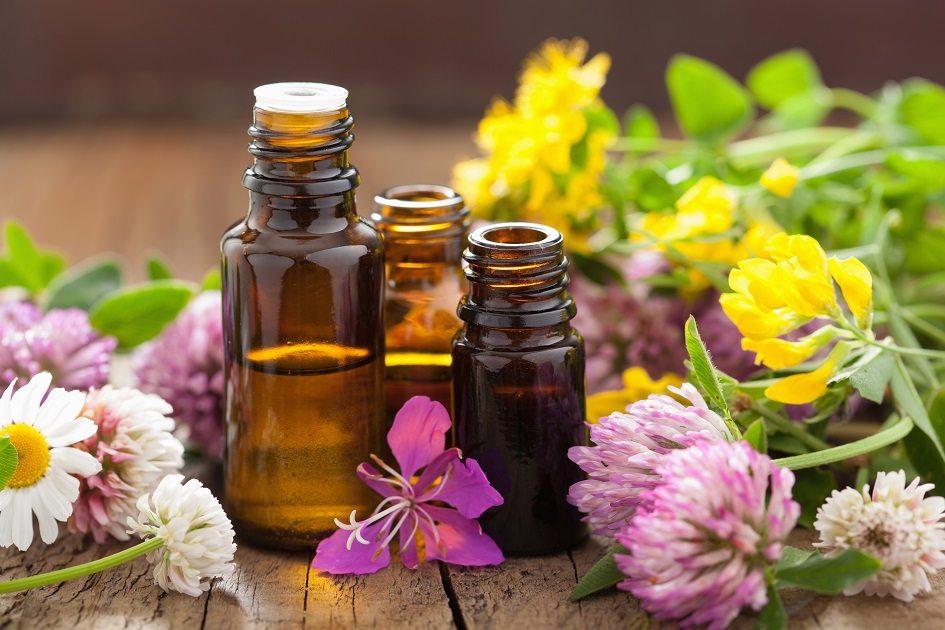 A aromaterapia pode diminuir a ansiedade e o estresse do dia a dia com óleos essenciais extraídos das plantas. Saiba os efeitos de cada uma das essências!