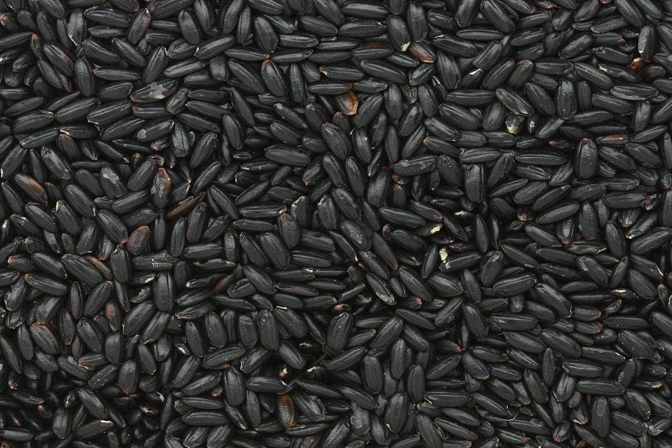 Confira cinco motivos para inserir o arroz preto na dieta 