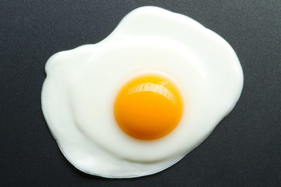 Os segredos do ovo: conheça os benefícios e saiba como inclui-lo em sua dieta 