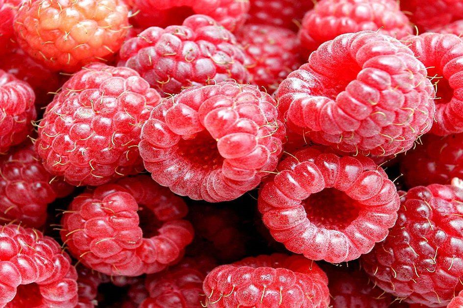 Você sabe quais são os benefícios da framboesa para a sua saúde? A fruta previne diabetes, elimina as toxinas do organismo e muito mais!