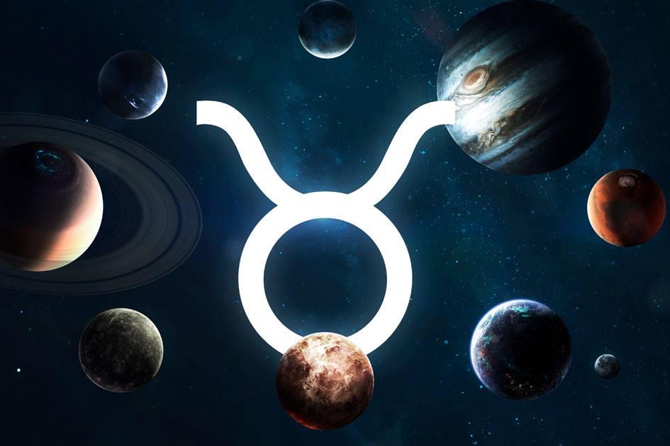 Curiosidades de Touro: 15 fatos sobre o signo mais persistente do Zodíaco 